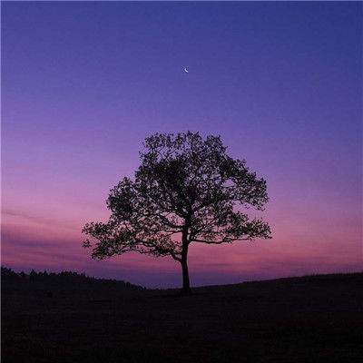 PG麻将胡了免费版下载手机版